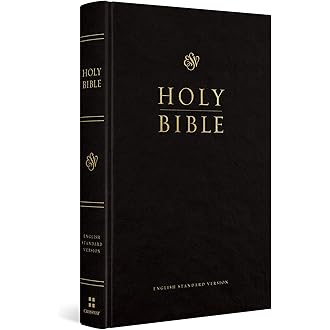 Cover of The Bible